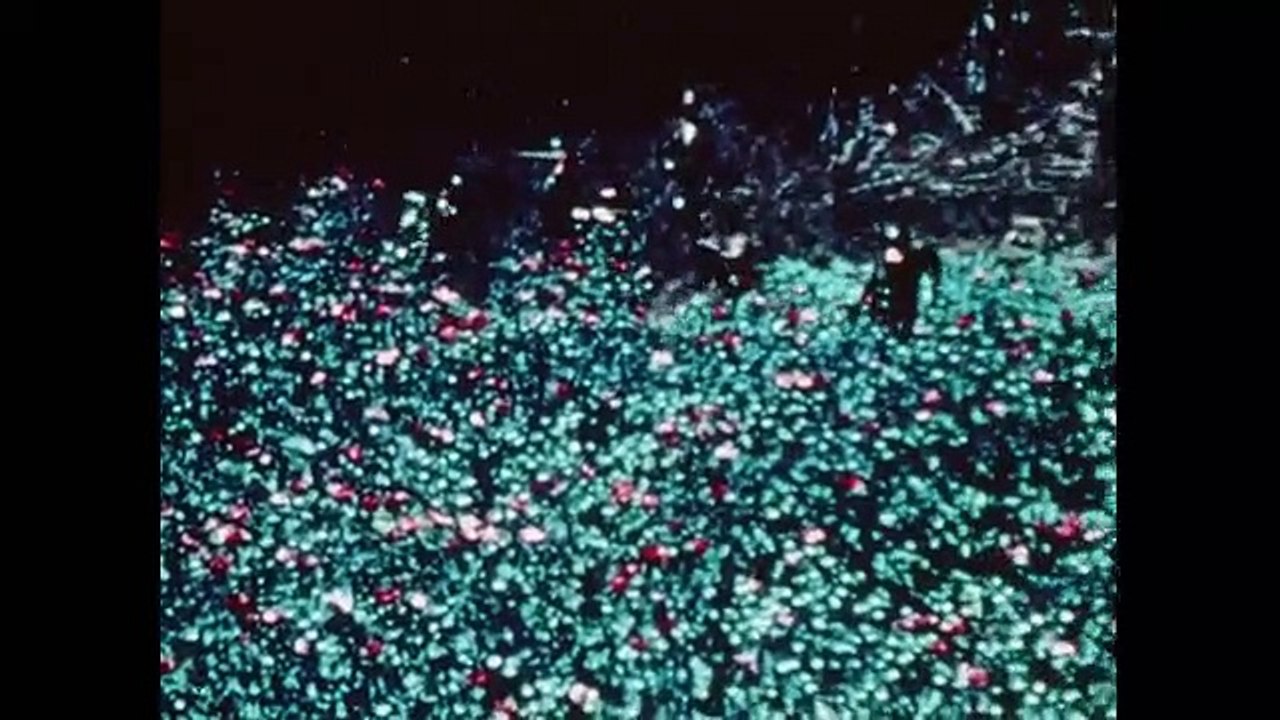 Drug Lords - Se1 - Ep03 - Frank Lucas $$ The Country Boys - Heroin Kings of New York HD Watch