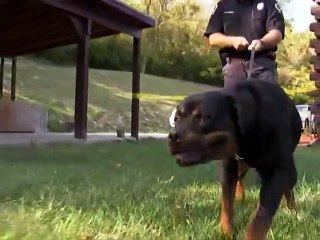 Forensic Files - Se13 - Ep22 HD Watch