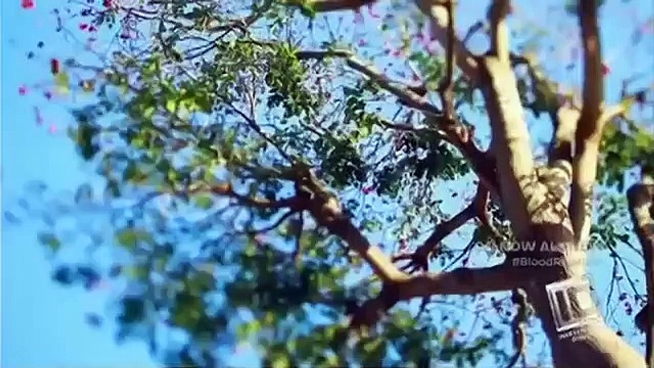 Blood Relatives - Se4 - Ep07 HD Watch