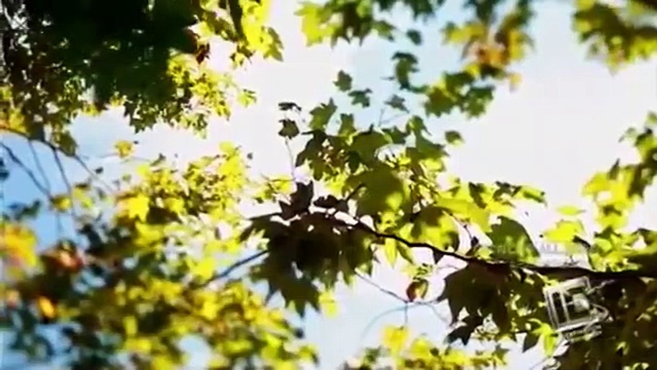 Blood Relatives - Se3 - Ep11 HD Watch