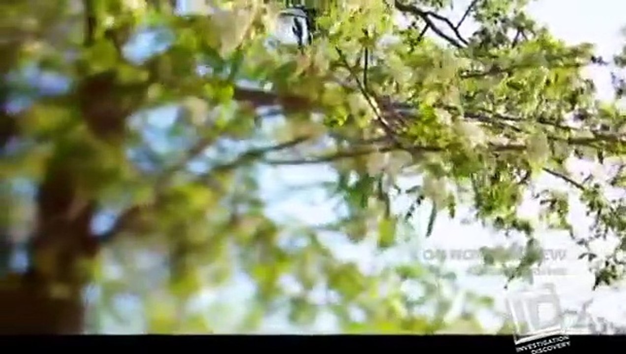 Blood Relatives - Se4 - Ep05 HD Watch