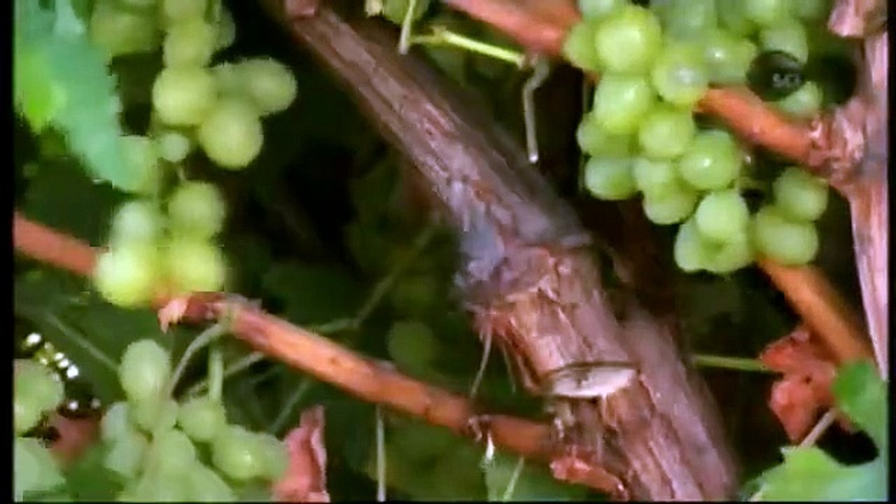 How It's Made - Se20 - Ep01 HD Watch