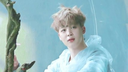 방탄소년단 지민, 천상계 댄서..그 탁월함과 아름다움