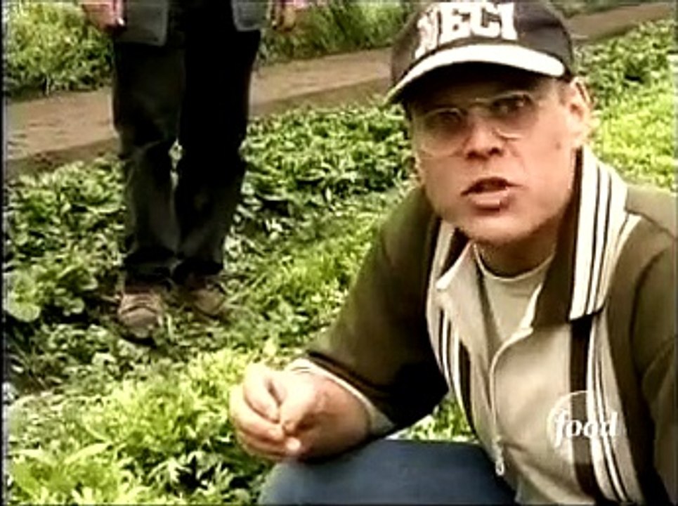 Good Eats - Se1 - Ep04 HD Watch