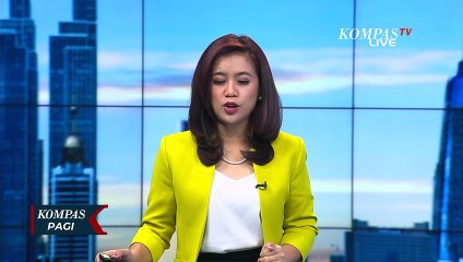 Pohon 14 Meter Tumbang Timpa 3 Mobil di Parepare saat Hujan Disertai Angin Kencang