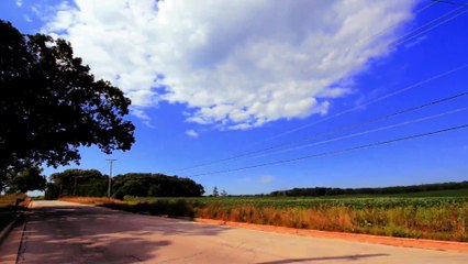 Bill Engvall- Just Sell Him for Parts (2017) Watch HD