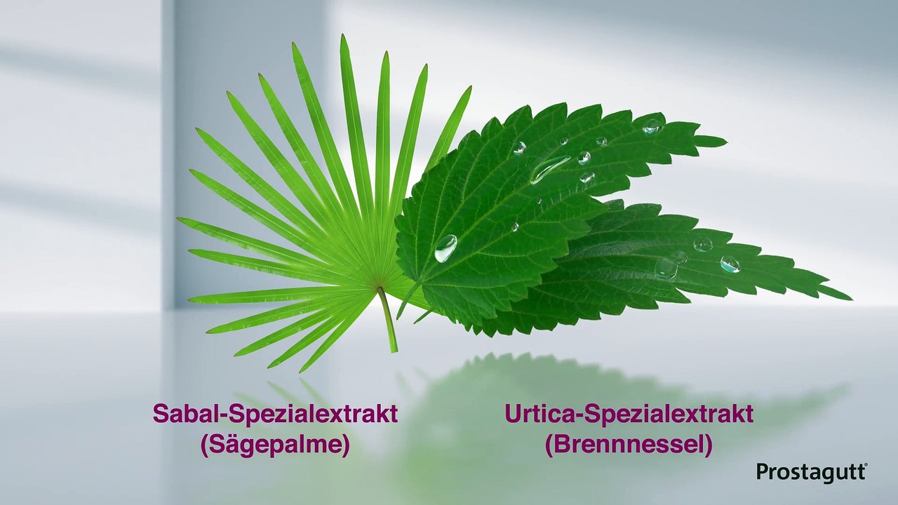 Häufiger Harndrang Was kann man dagegen tun