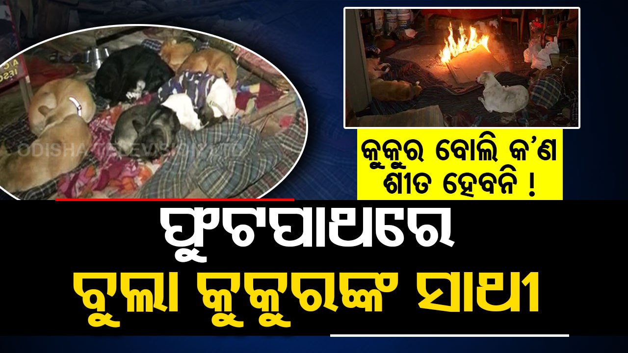 Elderly woman, mother of stray & abandoned dogs, leads homeless life after Delhi govt’s demolition