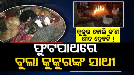 Elderly woman, mother of stray & abandoned dogs, leads homeless life after Delhi govt’s demolition