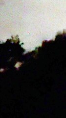 Surprise in the sky on New Year's Eve | Newcastle Herald | January 4, 2022