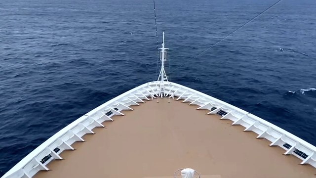 Fungal growth strands cruise ship for days near New Zealand