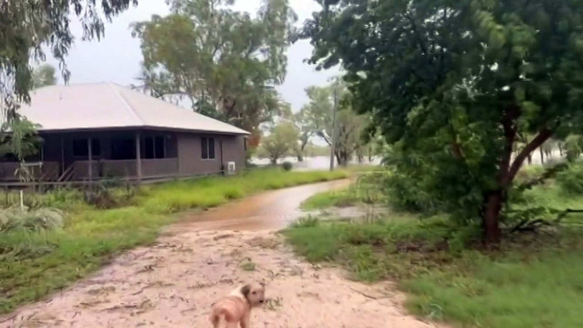 Flooding inundates homes in Fitzroy Crossing, central Kimberley as