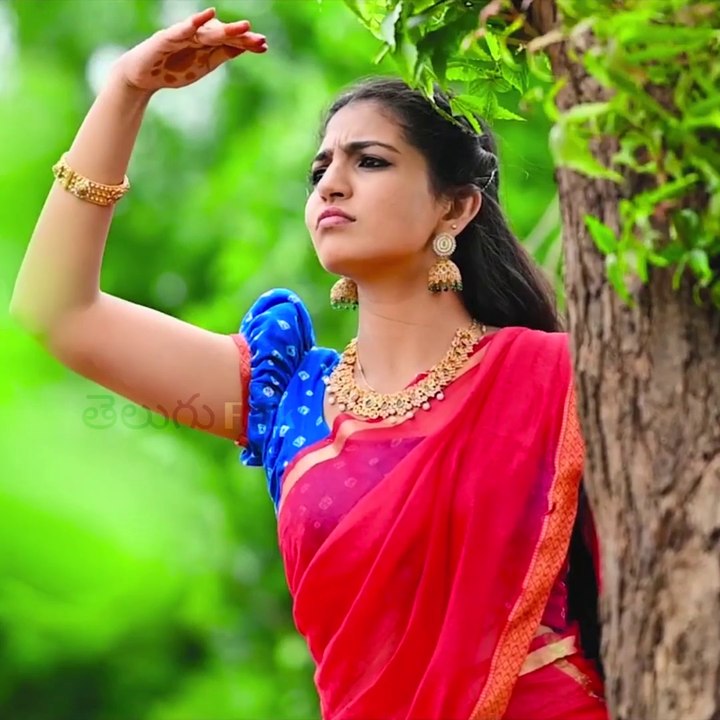 NEMALEEYA RAJA DJ Folk Song