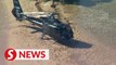 Two UK travellers among dead in Australia crash