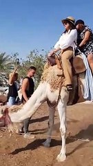 Camel-riding Near Jerusalem