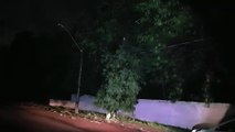 Galhos atingem fiação elétrica e deixa bairros na região central parcialmente sem luz