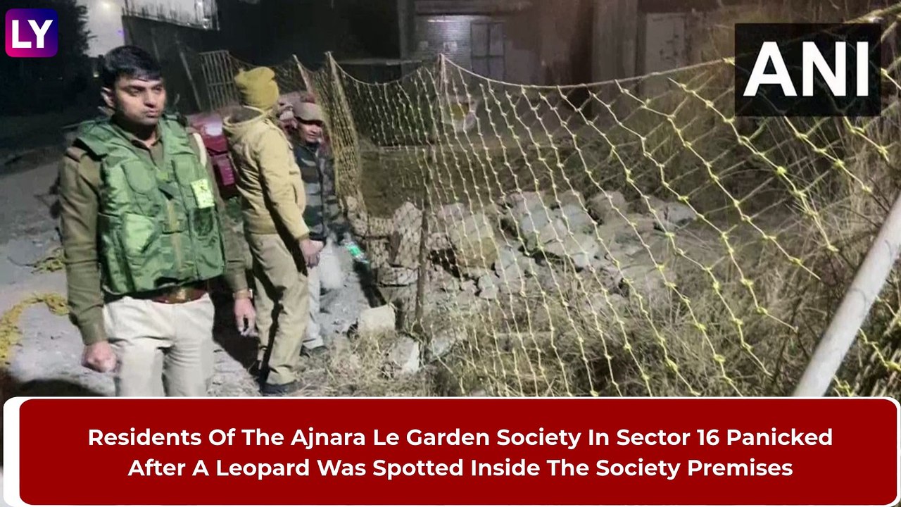 Leopard Spotted At Ajnara Le Garden Residential Society In Greater Noida, Rescue Operation Underway