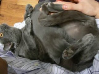 Doc - 4 semaines avec sa mère et son papa