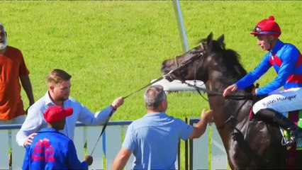 Horse Hollywoodbets Kenilworth interview Race 8 won by TRANSACT