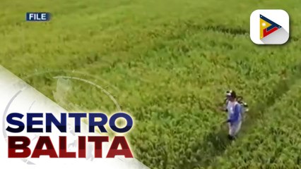 Implementasyon ng mas mababang taripa sa ilang imported agri products, pinalawig hanggang sa Disyembre