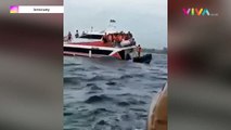 Detik-detik Fast Boat Tenggelam di Laut Bali