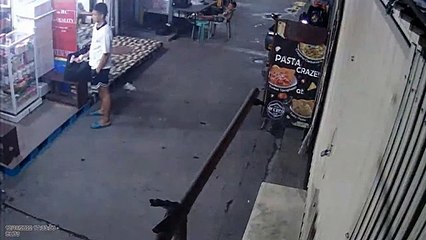 Chien devient un peu trop excité en jouant - XL1