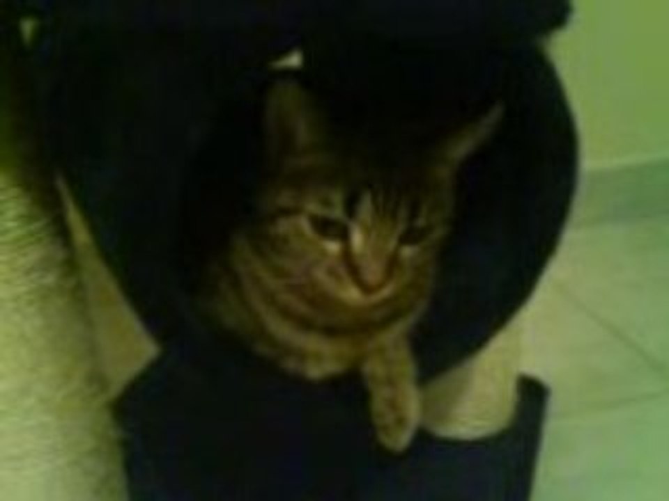 chat
