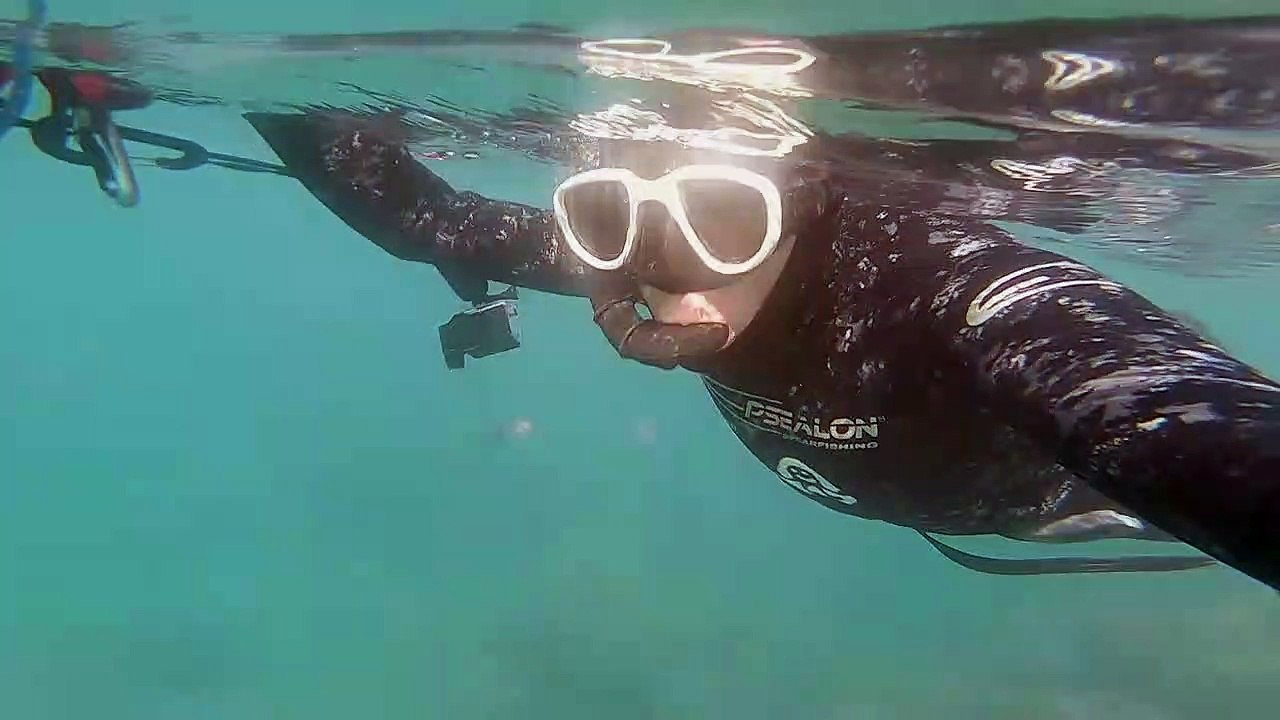 Nager au milieu du monde des méduses