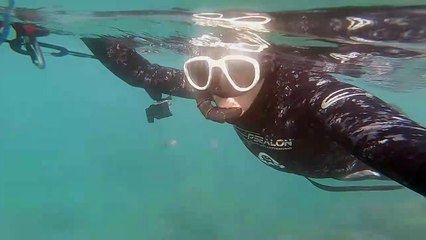 Nager au milieu du monde des méduses