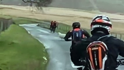 Pourquoi les moutons ont traversé la route