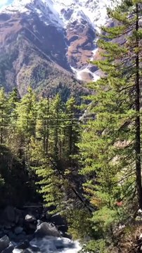 Annapurna circuit trekking