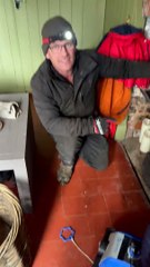 Sauver un hibou piégé dans notre poêle à bois