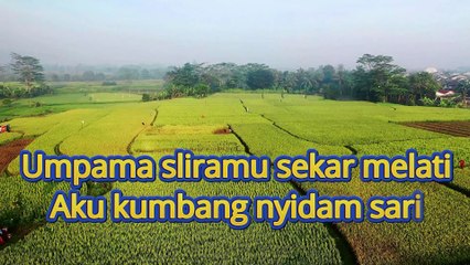 Instrument n Karaoke Langgam Nyidam Sari