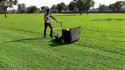 देखें VIDEO : देश ही नहीं विदेश की रसोई में छाई नागौर की पानमैथी, यों हो रही तैयार