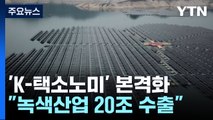 'K-택소노미' 본격화...