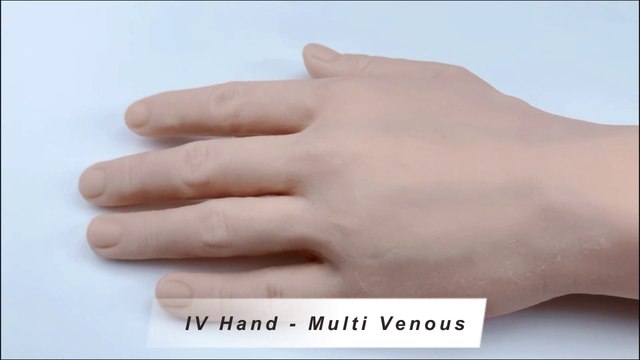 Multi Venous IV Hand Practice Kit for Phlebotomy/Injection/Venipuncture Classes