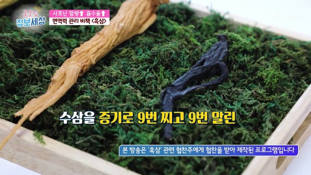 『 흑삼 』 면역력을 높이고 건강을 지켜주는 특별한 비책❤ TV CHOSUN 230104 방송