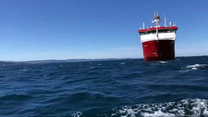 Oceano, suoni misteriosi e rumori. "Cos'è il Bloop e cosa provocano le attività dell'uomo"