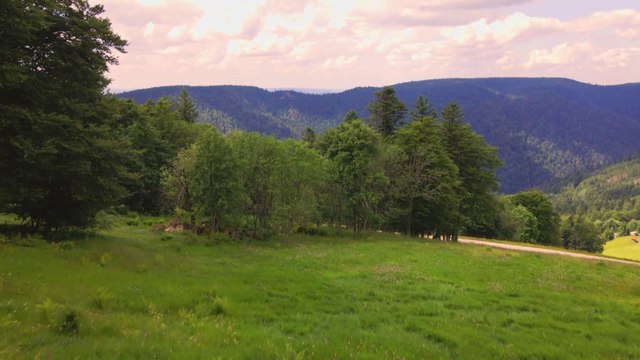 FRANCHE-COMTÉ 🐦 Les Espaces Naturels des VOSGES du SUD (Vue du ciel)