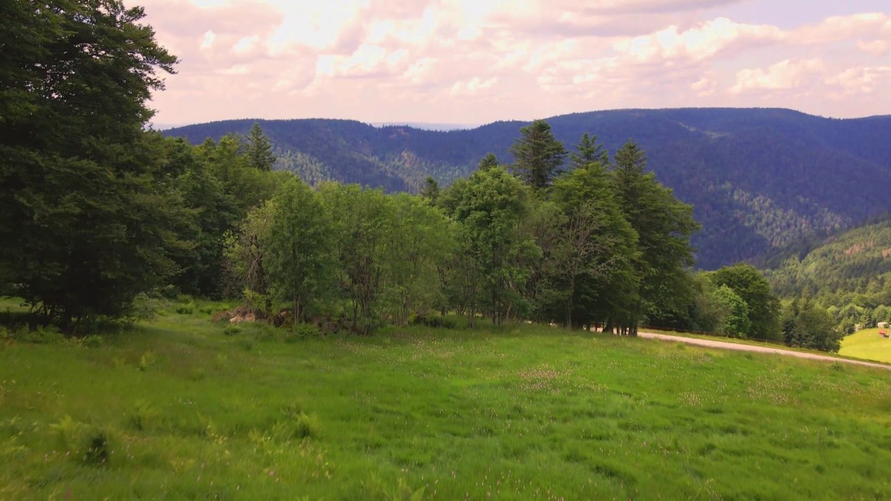 FRANCHE-COMTÉ 🐦 Les Espaces Naturels des VOSGES du SUD (Vue du ciel)