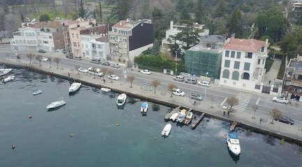Sarıyer sahili'nde deniz anası artışı