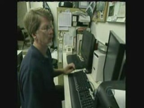 What's Wrong With The Bees - Disparition des abeilles