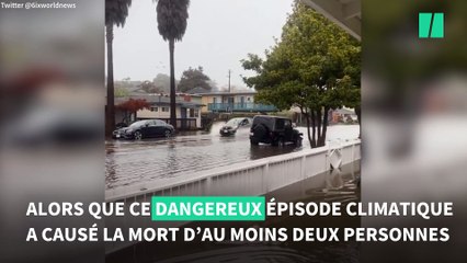 En pleine « bombe cyclonique », ils surfent sous le Golden Gate de San Francisco