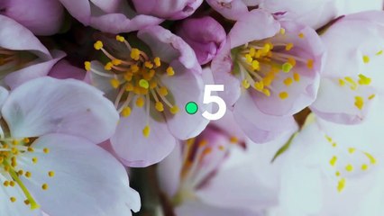 [BA] Les superpouvoirs des plantes - 09/01/2023