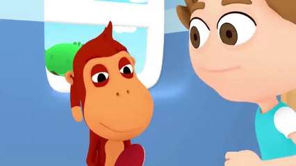 Kukuli Tüm Bölümler – Hepsi 40 Dakikada İzle!