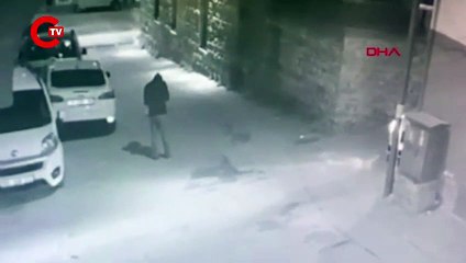 550 yıllık hamamın kurşun levhalarını çalıp, hurdacıya sattılar