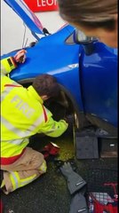 Gato fica preso em roda de carro durante 5 dias