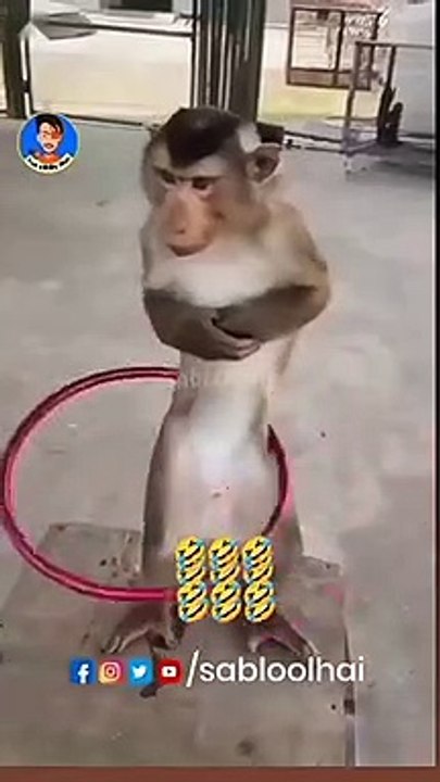 VID-20230103-WA0002