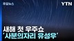 새해 첫 우주쇼...밤하늘 수놓은 '사분의자리 유성우' / YTN