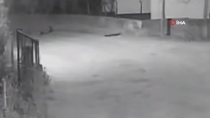 Alkollü sürücü dehşet saçtı... Engelli vatandaşa böyle çarpıp kaçtı